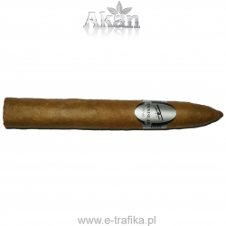 Stanislaw Torpedo