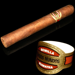 Ambos Mundos Sumatra Toro No.2