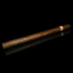 Tatuaje Especiales