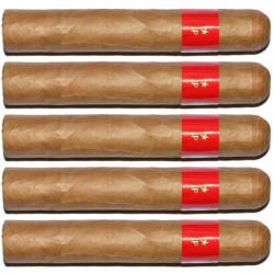 TSC Patoro Gran Anejo Reserva Robusto (5 cygar)