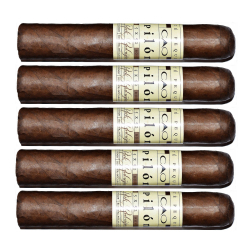 TSC CAO Pilon Robusto Extra Humi-Pack (5 cygar)