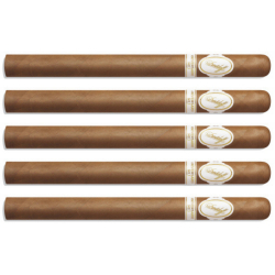 TSC Davidoff Aniversario No.1 LE 2023 (5 cygar)