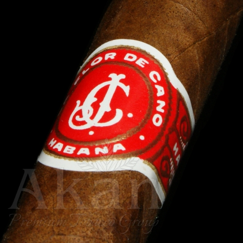 Cygara La Flor de Cano Petit Coronas