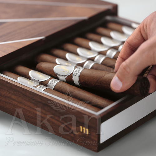 Cygara Davidoff Oro Blanco 111 Years (10 cygar)