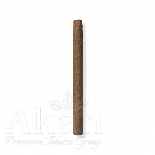 Davidoff Mini Cigarillos Gold (10 cygaretek)