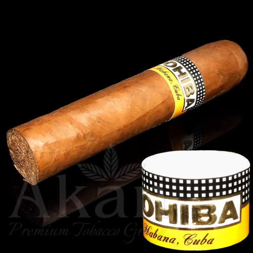 Zestaw Habanos Petit Robusto (10 cygar)