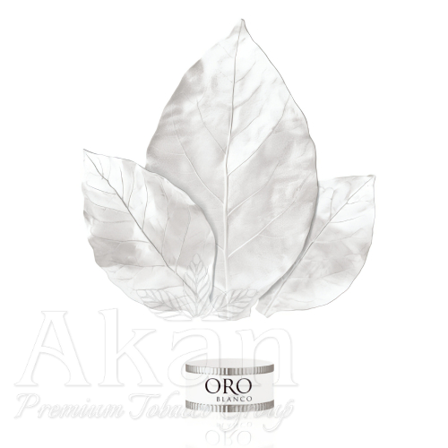 Cygara Davidoff Oro Blanco 111 Years (10 cygar)