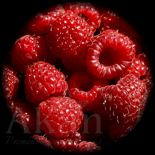 Ozona R-Type Snuff 10g