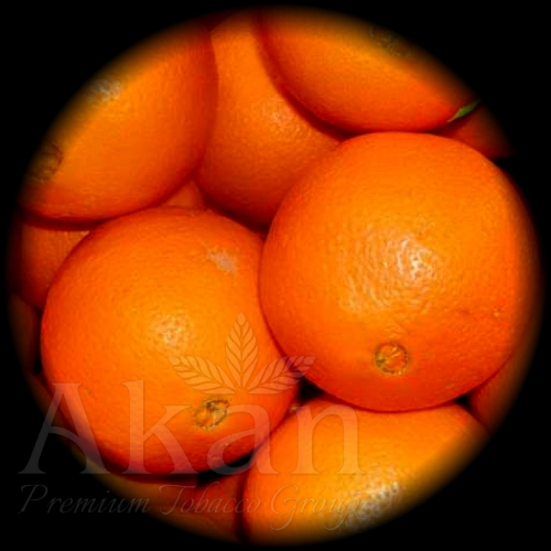 Tabaka Ozona O-Type Snuff 10g