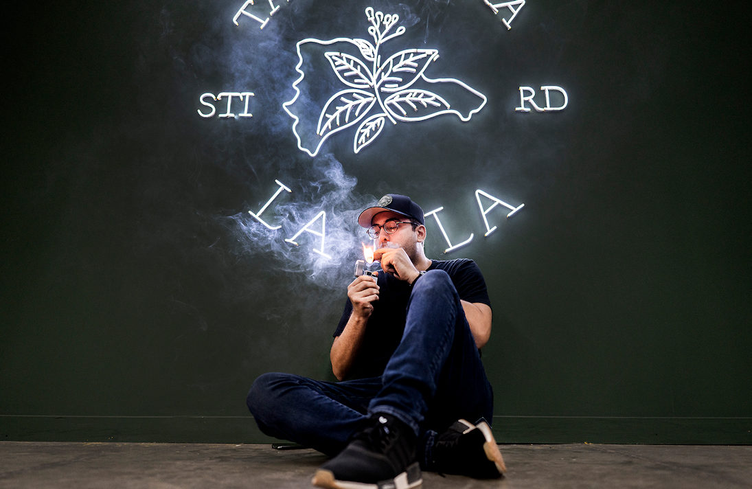 Hestos Quesada Cygara